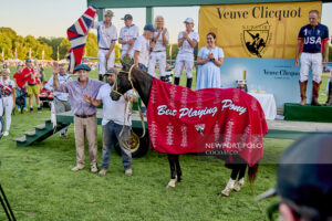 The Unsung Heroes of the Field: Best Playing Ponies of ’25