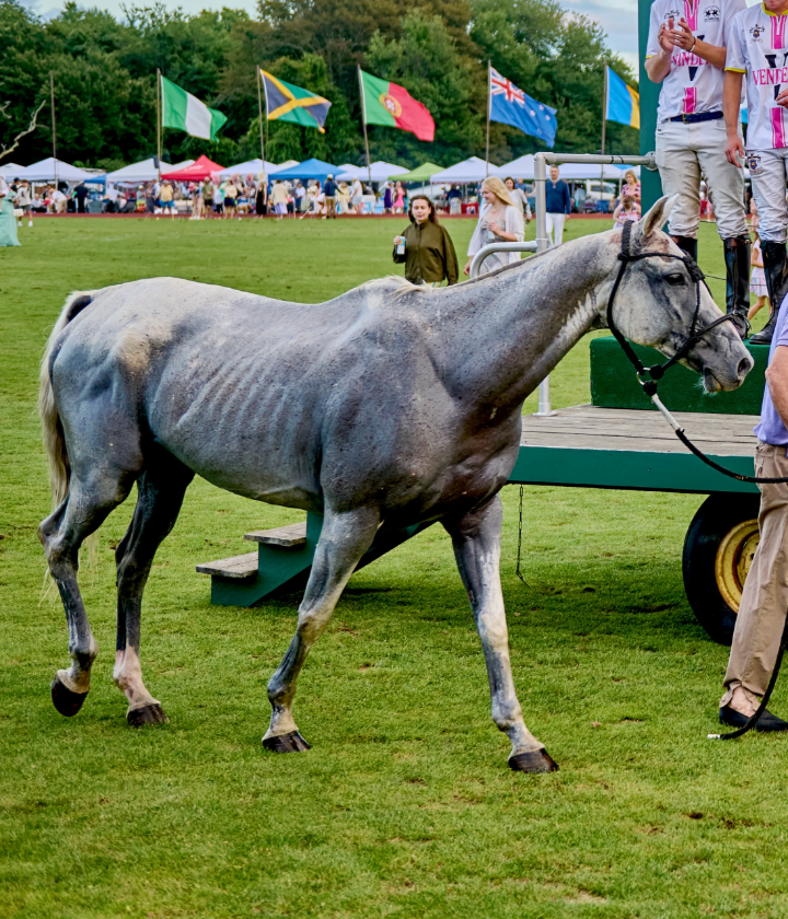 Paloma, Best Playing Pony at USA vs England, September 5, 2026