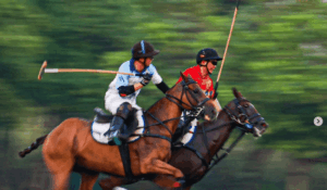 Ride of the Fire Horse