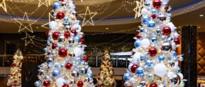 Sponsor Highlights 11/26